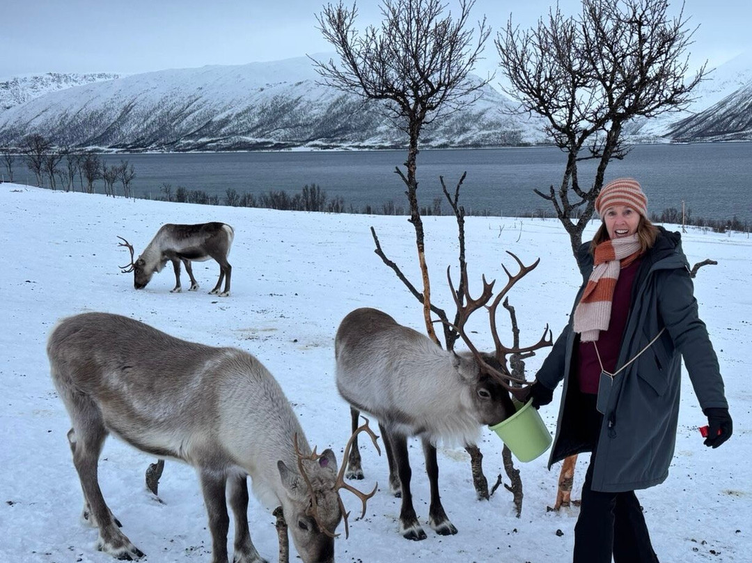 北极驯鹿体验之旅－一日游-特罗姆瑟必去景点