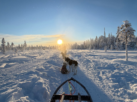 Lapland Safaris Yllas-Akaslompolo必去景点