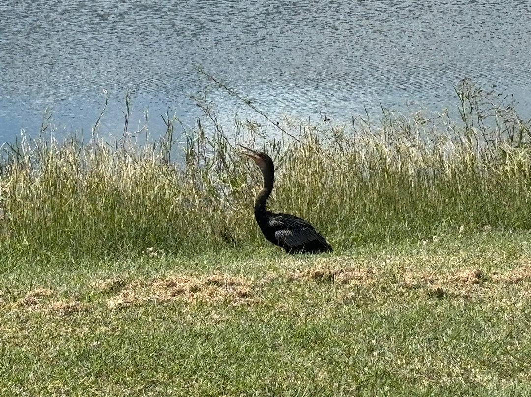 TTT Excursions-Bon Accord必去景点
