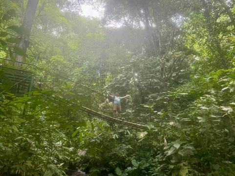 Rainmaker Park-帕利塔必去景点
