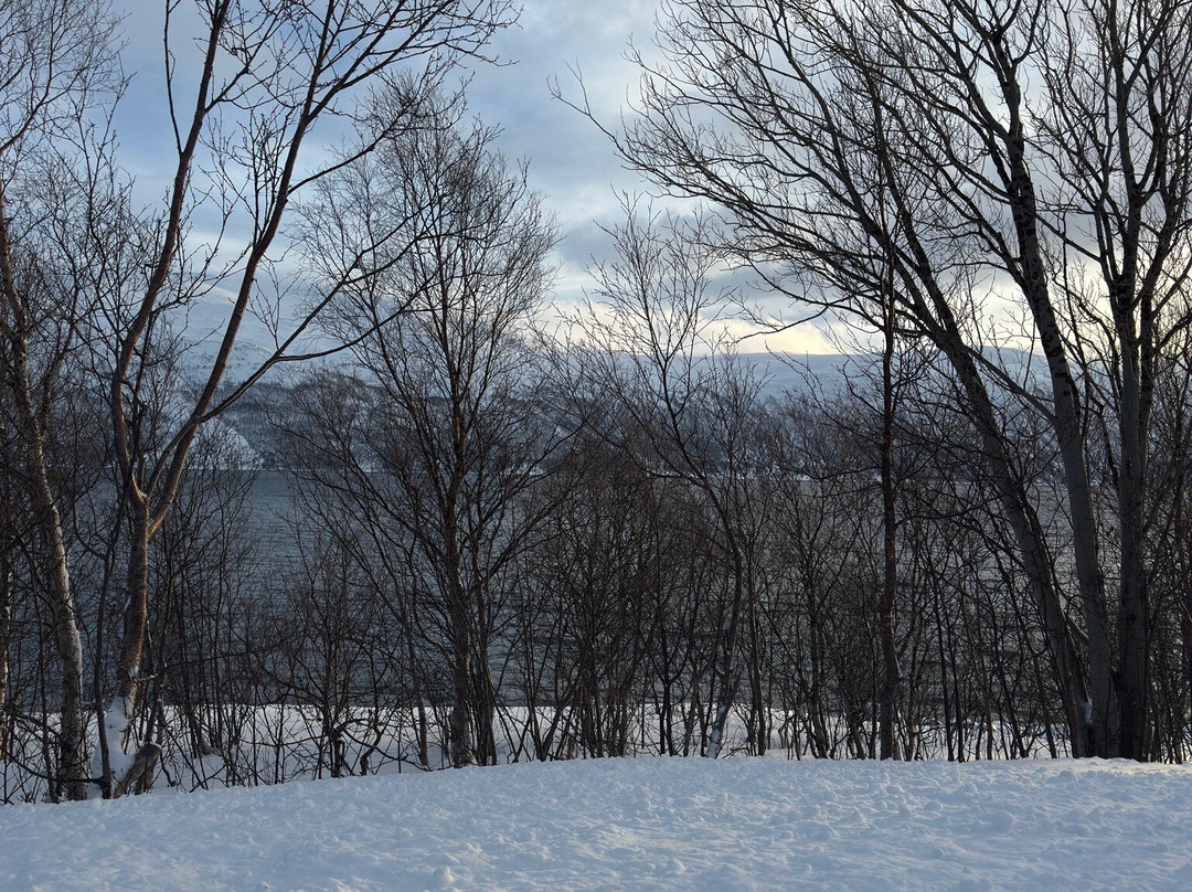 ALSHEMAL Norway-特罗姆瑟必去景点