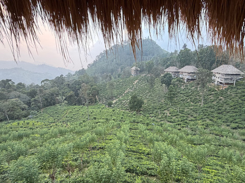 98英亩度假村主图