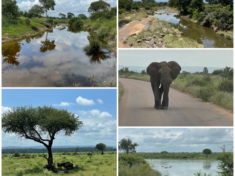 Loisico Tours and Excursions-Bloubergstrand必去景点