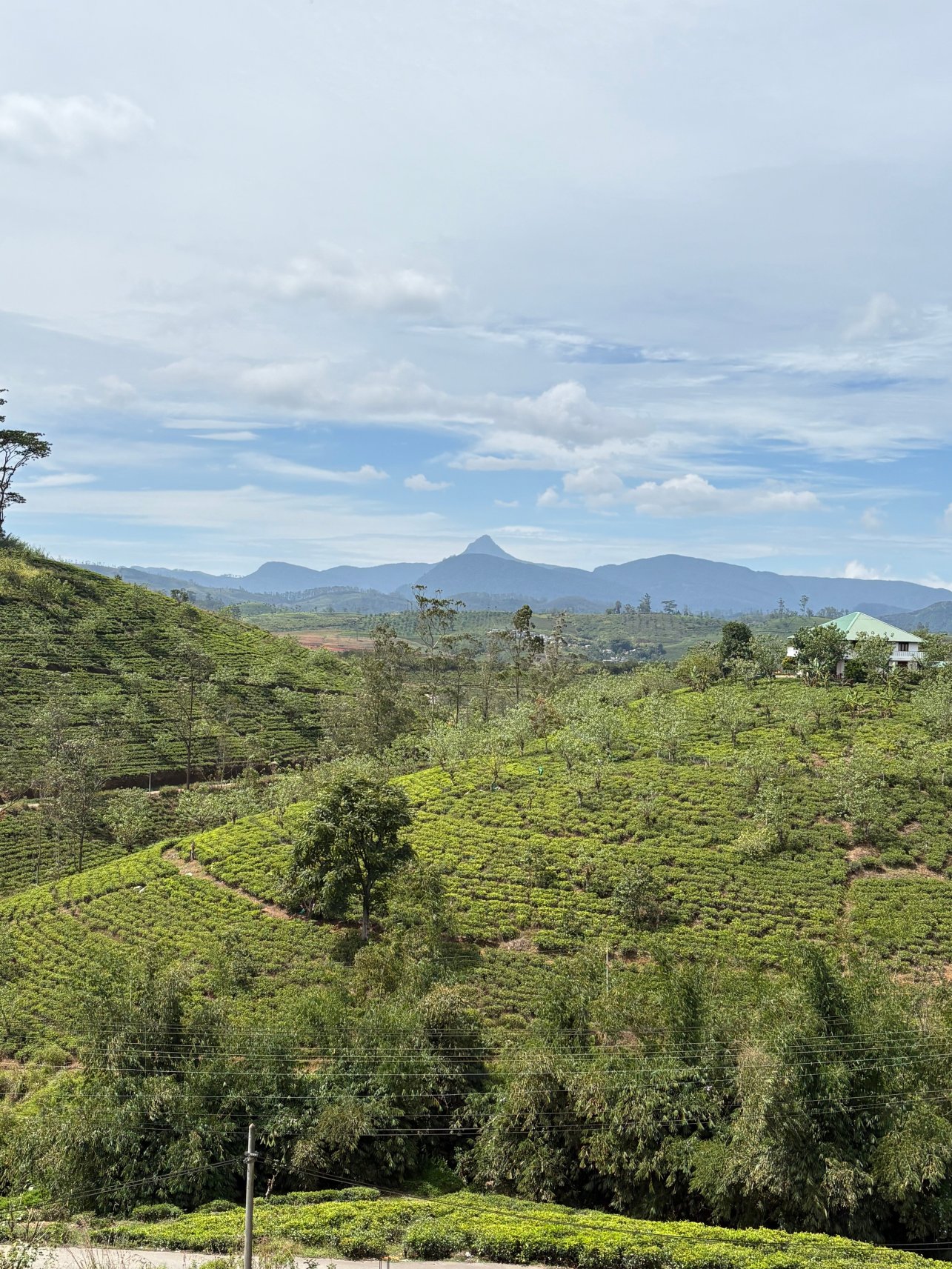 阿盖尔酒店-酒店景观