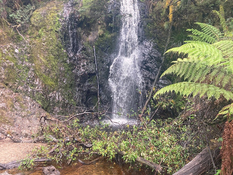 Hogarth Falls-斯特拉恩必去景点