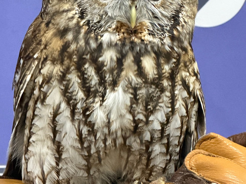 World Bird Sanctuary-Valley Park必去景点