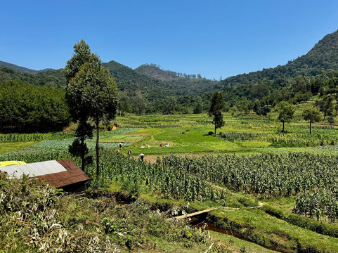 Usambara Eco Tours-卢绍托必去景点