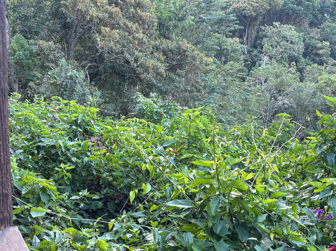 莫里亚旅馆主图