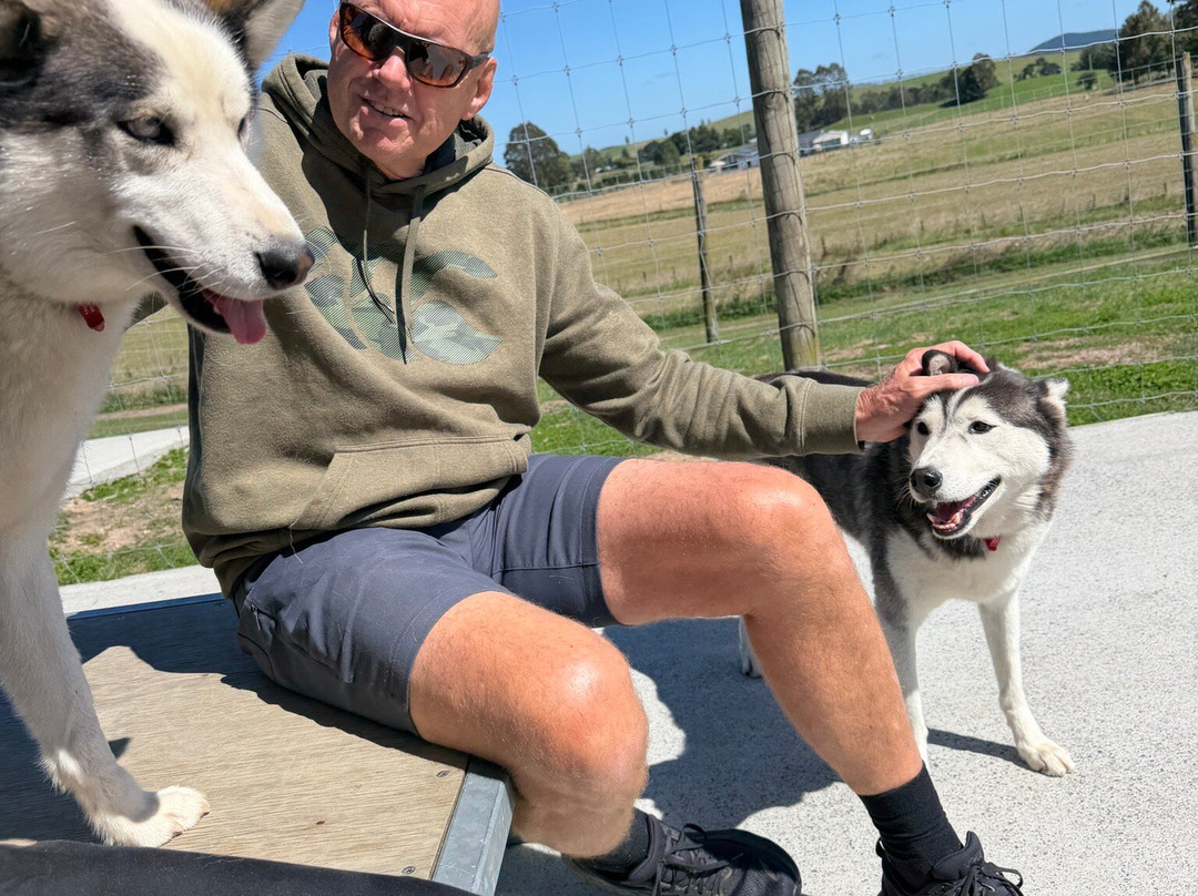 Timberline Racing Siberian Huskies-陶波必去景点