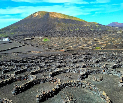Bodega La Geria-La Geria必去景点