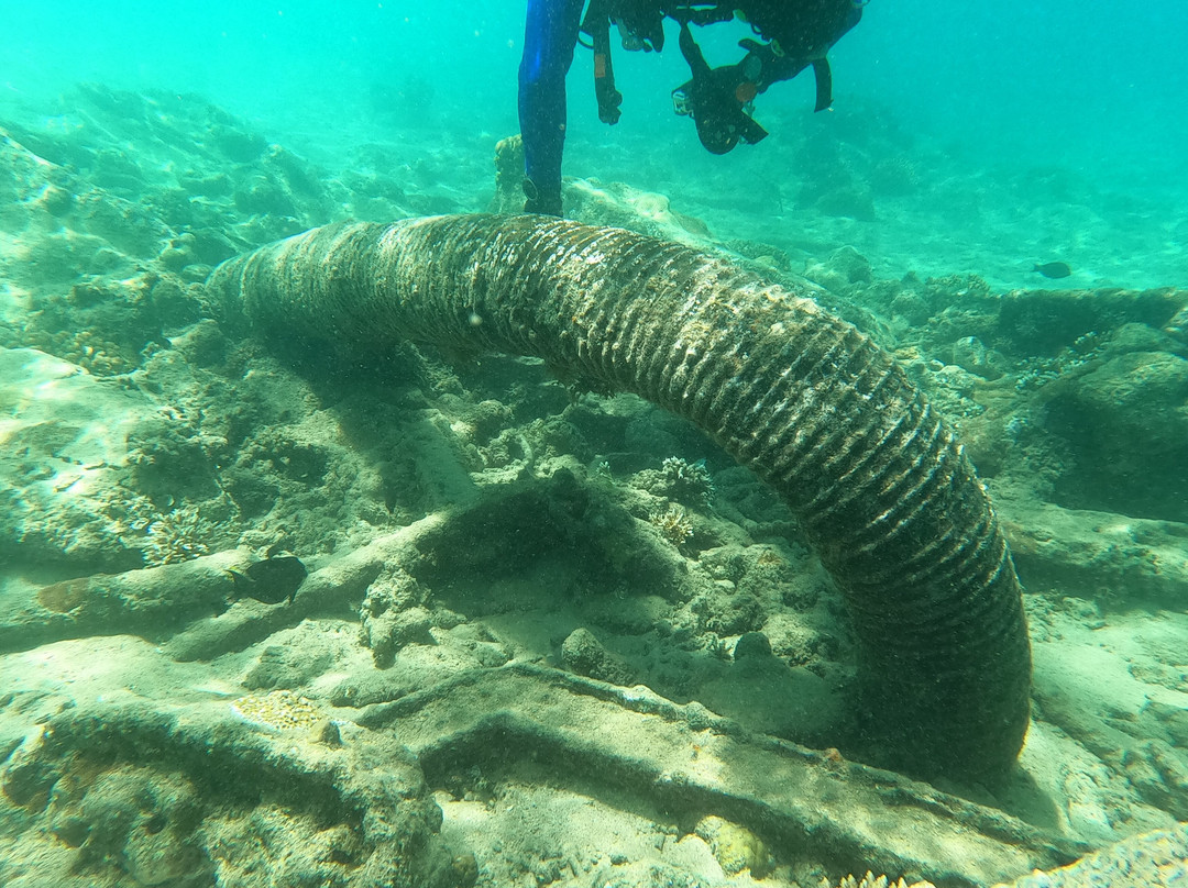 Pacific Dive-卢甘维尔必去景点