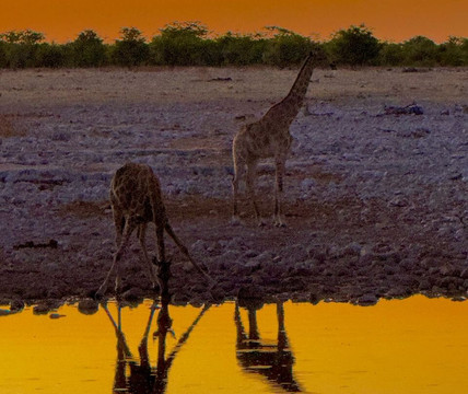 Don Tours & Safaris-温德和克必去景点