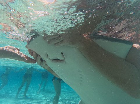 Crazy Crab Private Boat Charters-Camana Bay必去景点