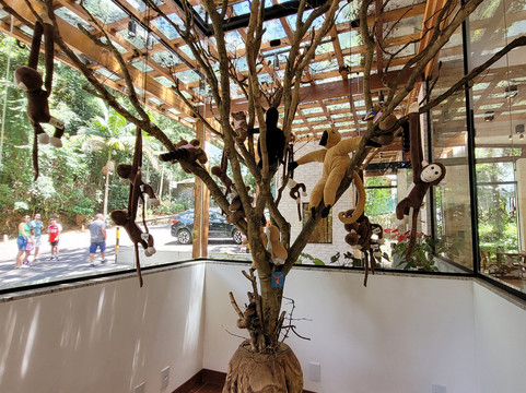 Fonte Dos Amores-Pocos de Caldas必去景点