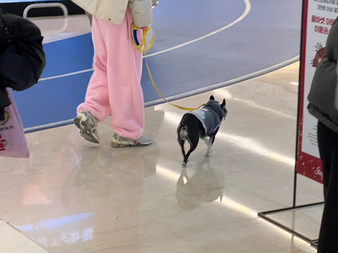 Starfield Library-首尔必去景点