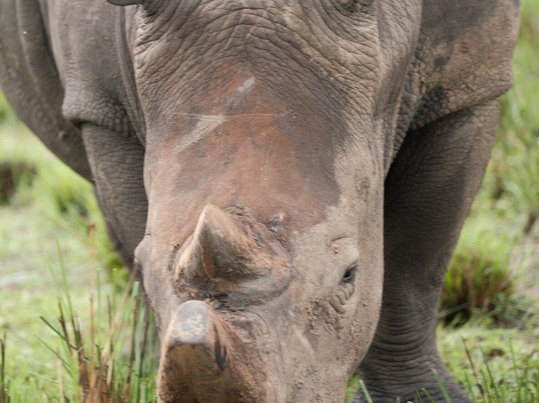 Kajie Safaris-坎帕拉必去景点