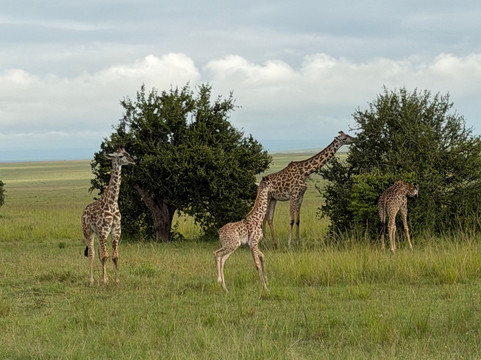 Bigfoot Adventures-内罗毕必去景点