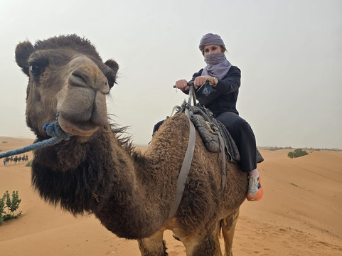 Dalia Tours-梅克内斯必去景点