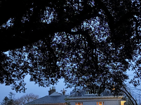 邓布鲁蒂田园酒店主图