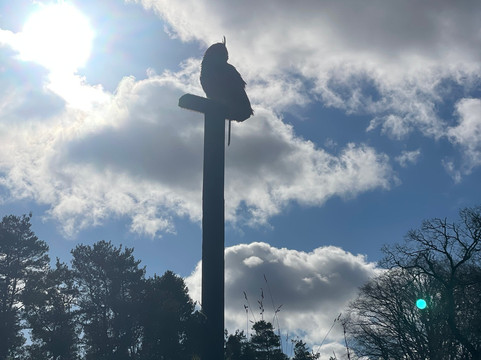 The Scottish Deer Centre-库珀必去景点