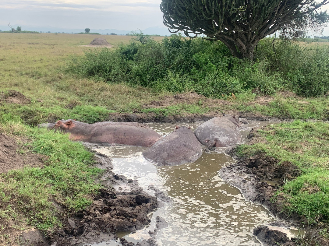 Uganda Family Tours & Travel-Fort Portal必去景点