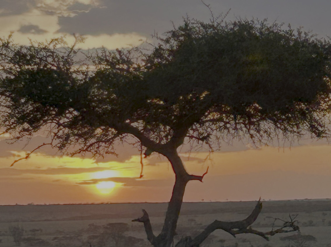 Gamewatchers Safaris-内罗毕必去景点