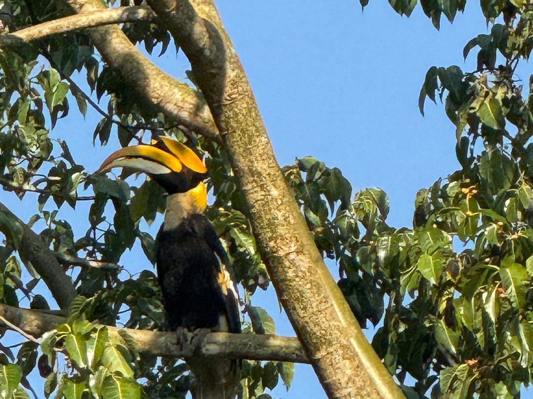 考艾自然生活及旅游酒店主图