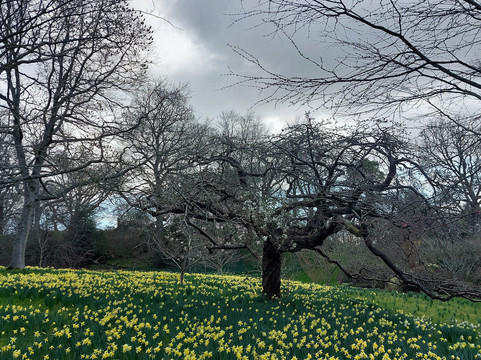 Bodnant Garden-Tal-y-Cafn必去景点