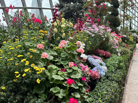 My Singapore Holiday-新加坡必去景点