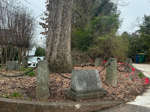 Tree That Owns Itself-阿森斯必去景点