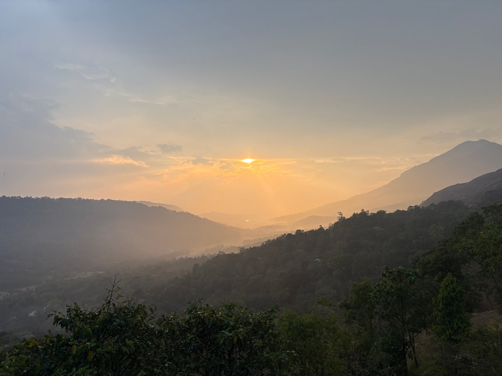 穆纳尔香料树旅馆-酒店景观