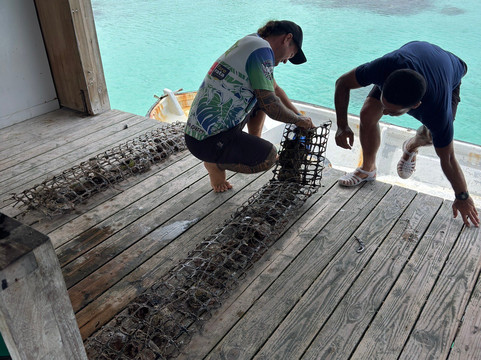 Les Perles D'Havaiki-Fakarava必去景点