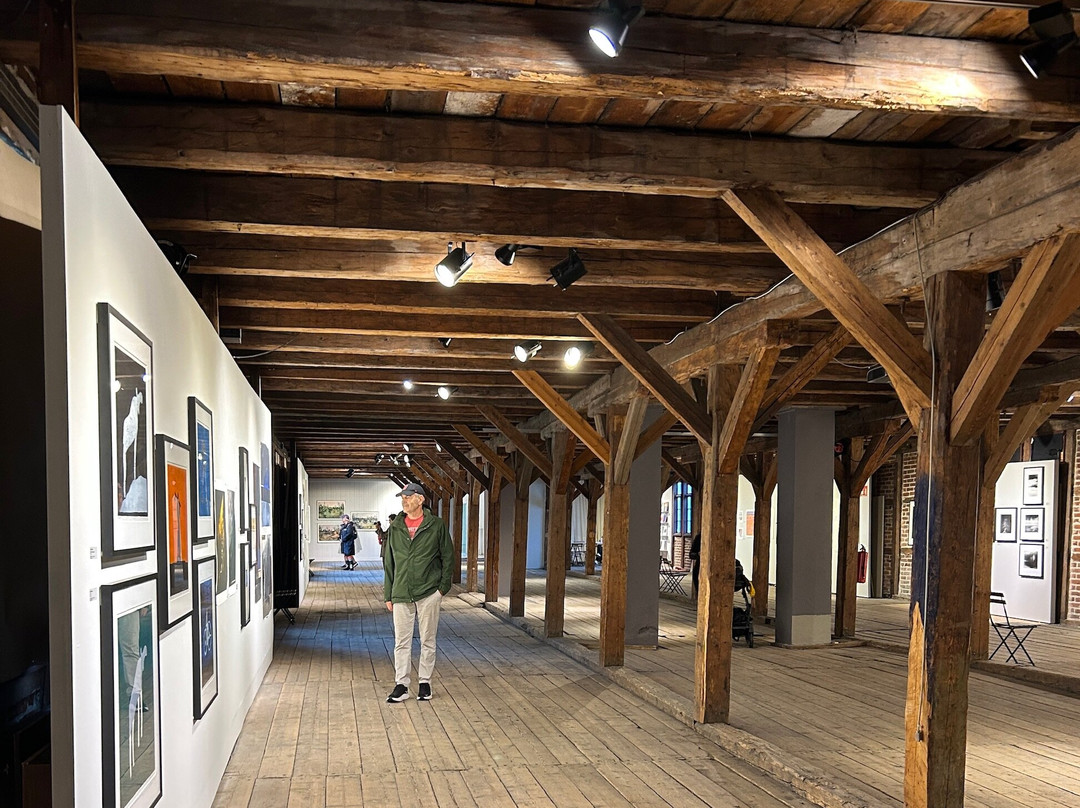 Hovedoya-奥斯陆必去景点