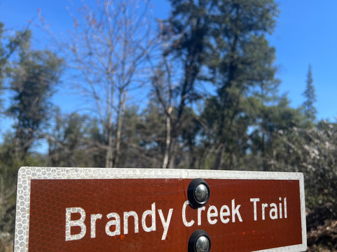 Whiskeytown Lake-雷丁必去景点
