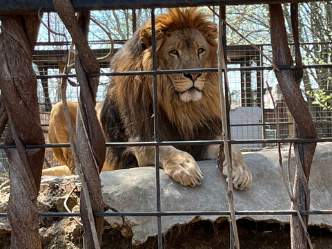 Safari Zoological Park-Caney必去景点