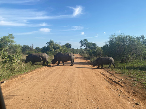 Endless Summer Tours-德班必去景点
