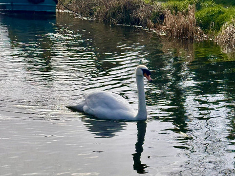 BargeTrip-Sallins必去景点