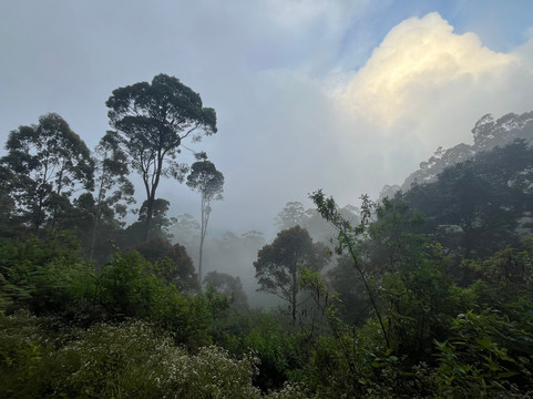 Paradise Kandy Taxi-康提必去景点