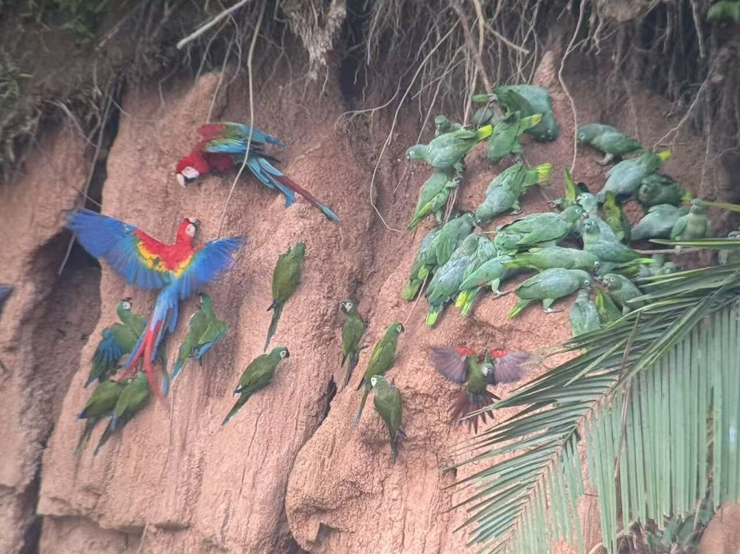 Finca Sachavacayoc lodge主图