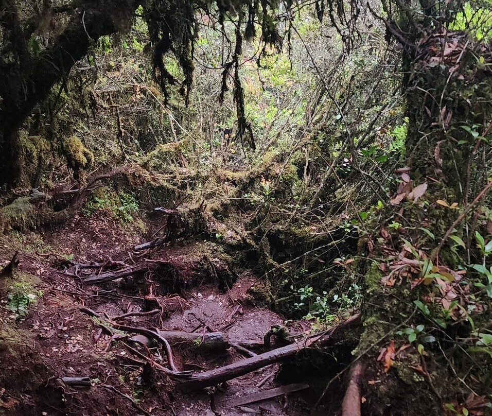 Discover Camerons-丹那拉塔必去景点