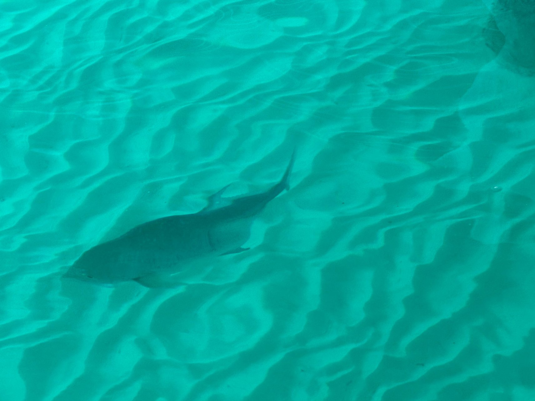 泰姬度假温泉酒店-官方