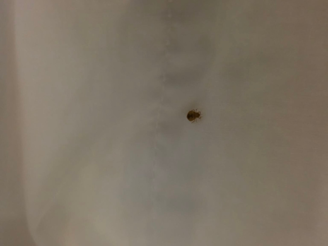 休斯顿/利格城欢朋套房酒店主图