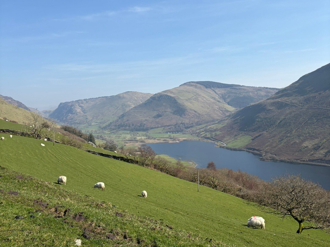 Talyllyn Lake-Tal-y-llyn必去景点