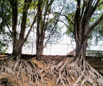 ILT Costa Rica-圣何塞必去景点