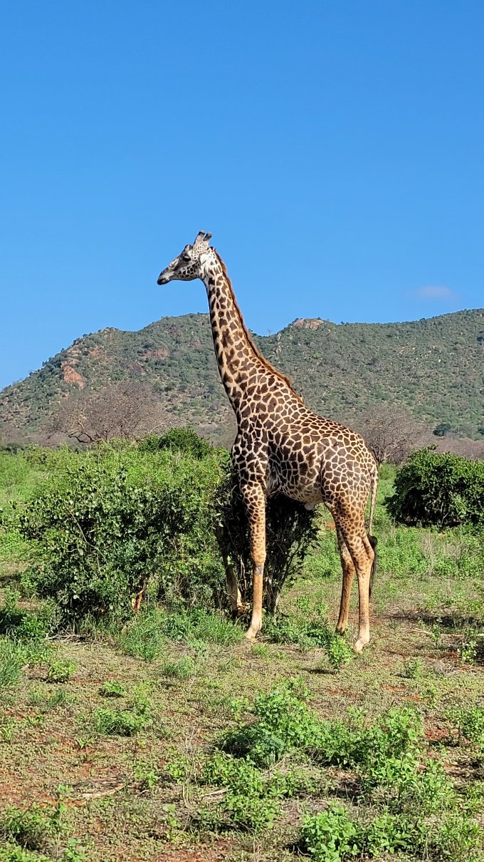 旅客海滩酒店-官方