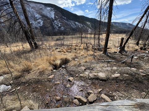 North Inlet Trail-落基山国家公园必去景点
