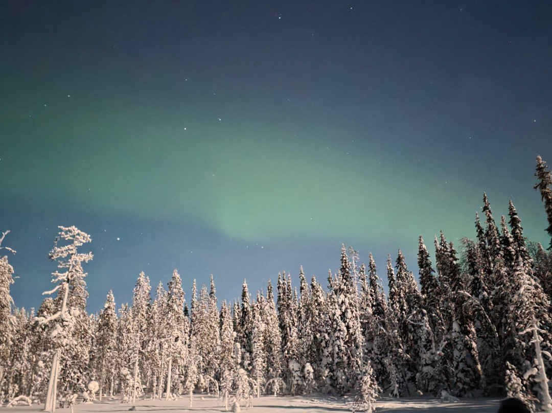 Lapland Safaris Yllas-Akaslompolo必去景点