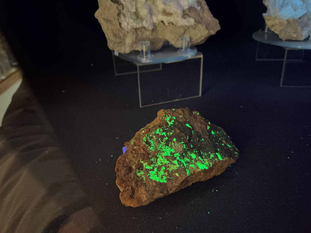 Museo Mineralogico Campano-维克艾库塞必去景点