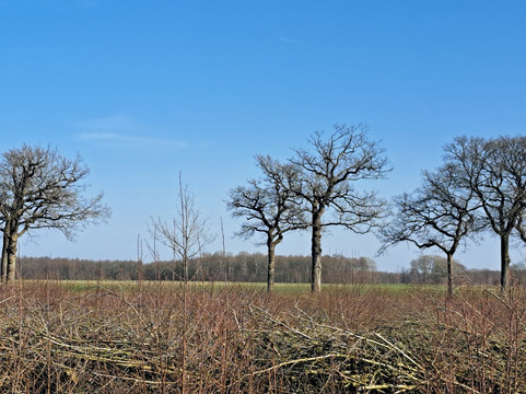 Museum Belvedere-Heerenveen必去景点