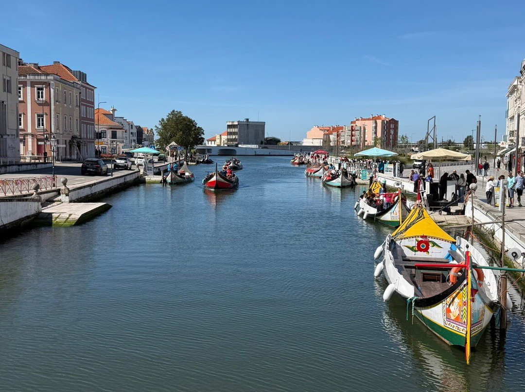Canal Central de Aveiro-阿威罗必去景点